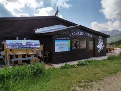 Чайна Ястребец
