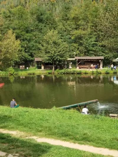 Fish Farm + restaurant