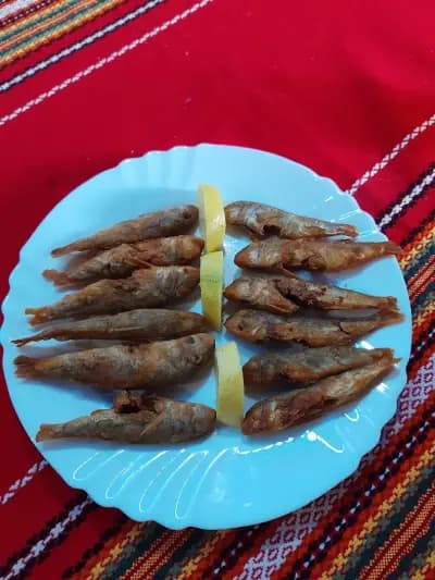 Макси при Нечо