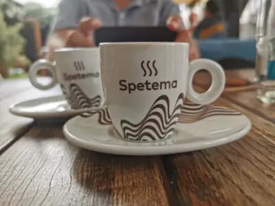 Амичи Възраждане