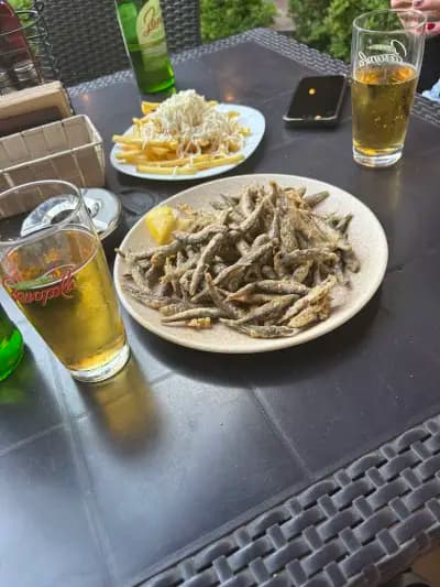 Пицария Магнолия