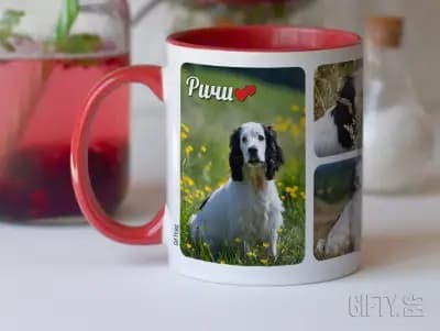 GIFTY.BG
