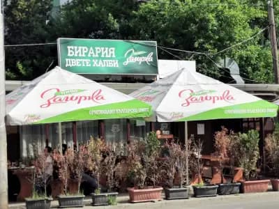 Двете халби