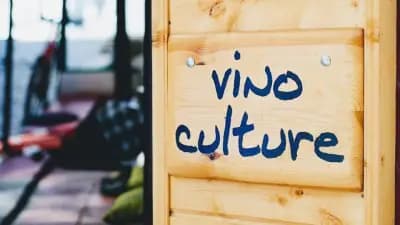 Vino Culture