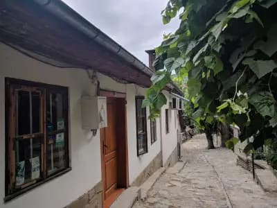 Хостел Пашов