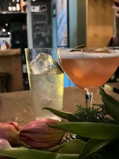Bar Lotus