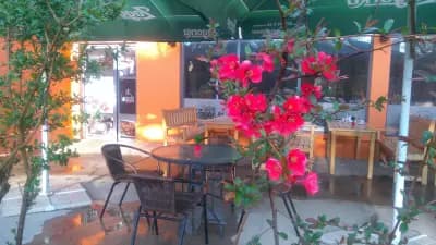 Bar Central село Розово