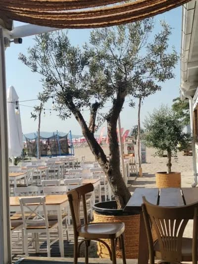 Beach Bar SUMMER VIBE