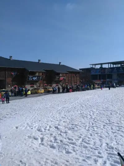 Alpine Bar