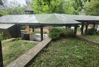 Кино Кабана