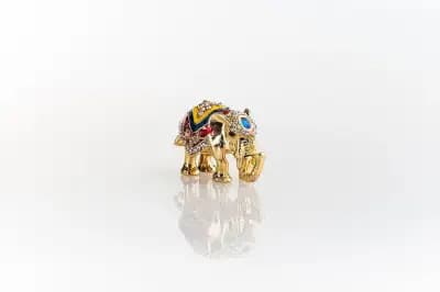 jeWelry DynaSty