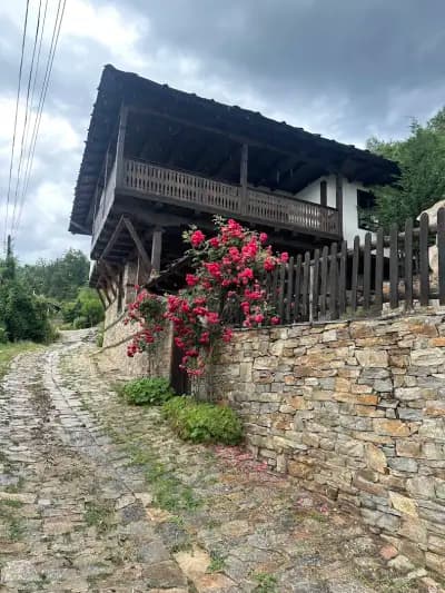 Little Bird Artist Residency