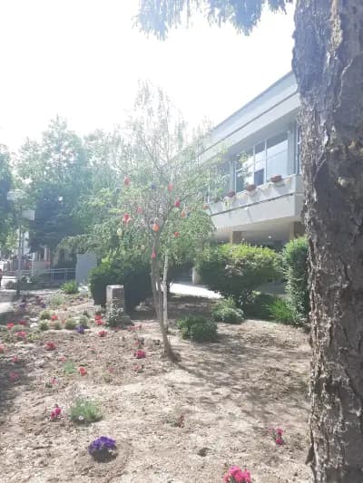 МНОГОПРОФИЛНА БОЛНИЦА ЗА АКТИВНО ЛЕЧЕНИЕ-НИКОПОЛ