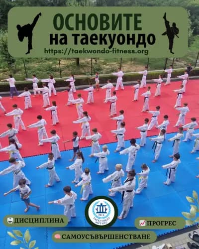 Таекуондо Фитнес НСА