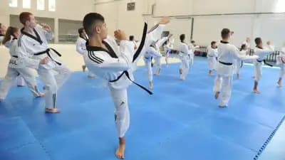 Таекуондо Фитнес НСА