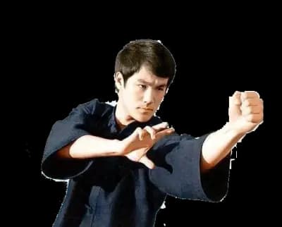 Джийт Кун До-Ескрима Сюангуей / Jeet Kune Do-Eskrima Xuangui
