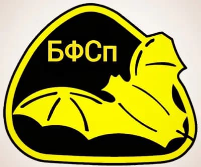 Българска Федерация по Бокс