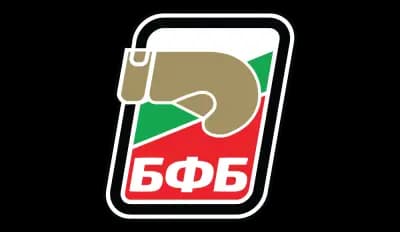 Българска Федерация по Бокс