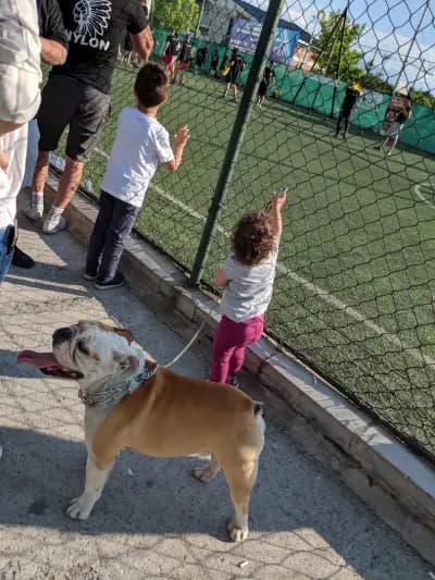 Спортен център „Оптимум“
