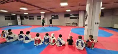 Таекуондо клуб Левски София