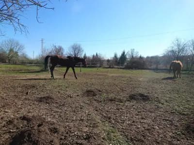 Ездови клуб `Силвена спорт`