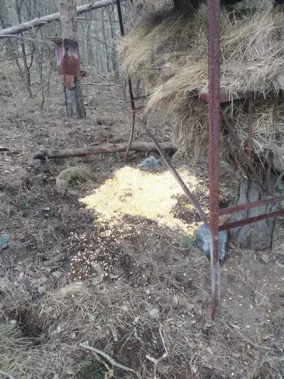 Ловен дом село Радотина