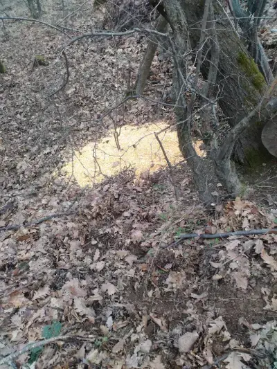 Ловен дом село Радотина