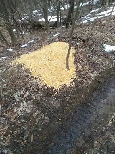 Ловен дом село Радотина