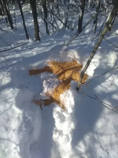 Ловен дом село Радотина