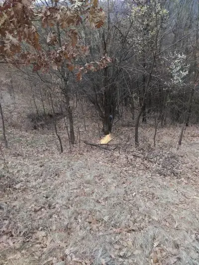 Ловен дом село Радотина