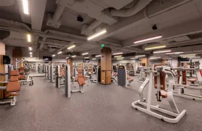 Next Level Fitness Zaimov