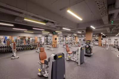 Next Level Fitness Zaimov