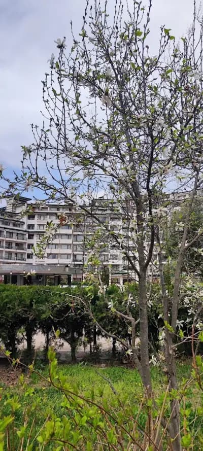Фитнес център "Emerald Spa & Wellness Center"