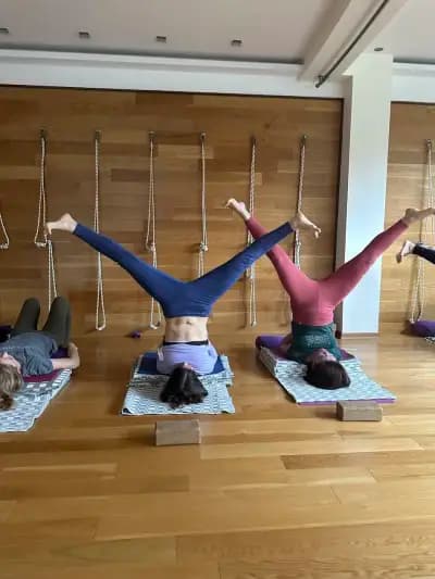 Yoga Varna Master of Balance