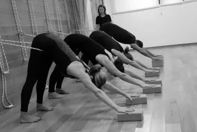 Yoga Varna Master of Balance
