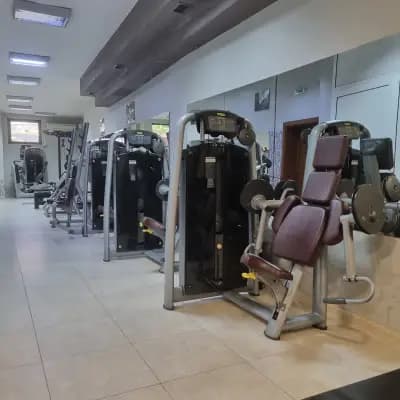 N3ddiets&fitness