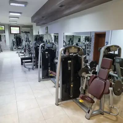 N3ddiets&fitness