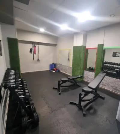 N3ddiets&fitness