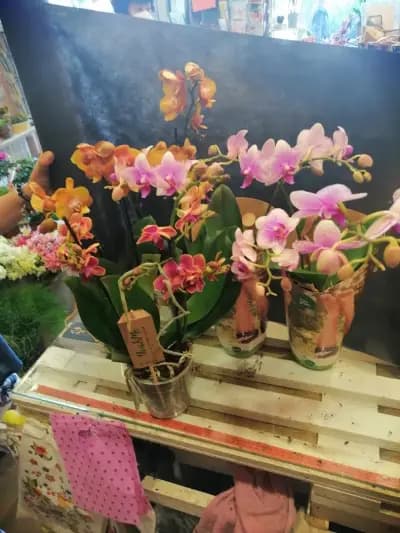 Бутик за цветя "" ФлорАна""