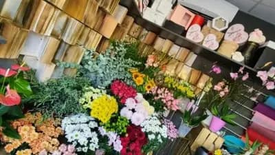 Blooming Gardens