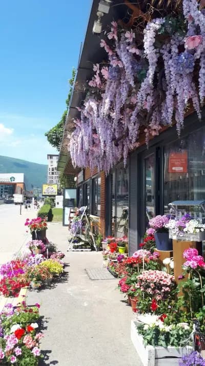 Blooming Gardens