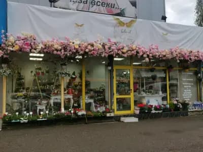 Angel wings flower shop and party agen/Ангелски крила цветарски магазин и парти агенция