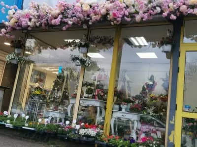 Angel wings flower shop and party agen/Ангелски крила цветарски магазин и парти агенция