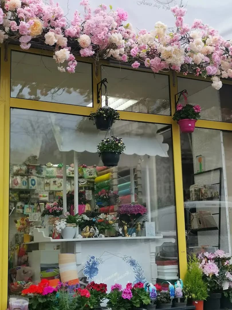 Angel wings flower shop and party agen/Ангелски крила цветарски магазин и парти агенция