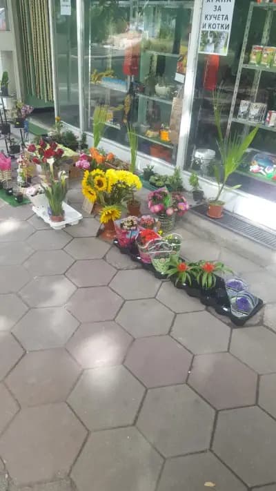 Цветарски магазин ДЕСИ