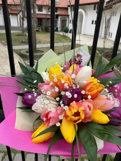 Райската градина
