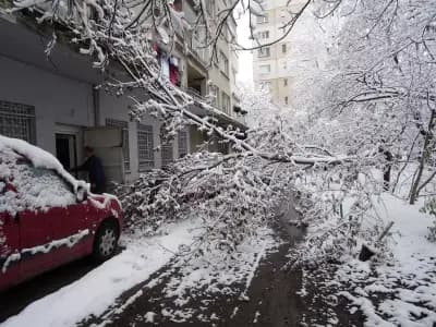 ВЕСПО 41 ООД