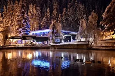Вила Вучев