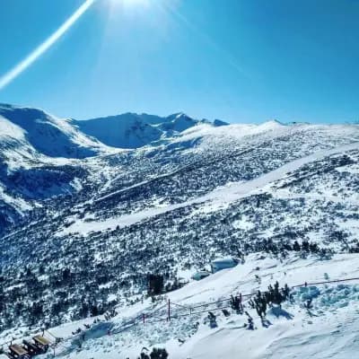 Апарт-хотел Секвоя
