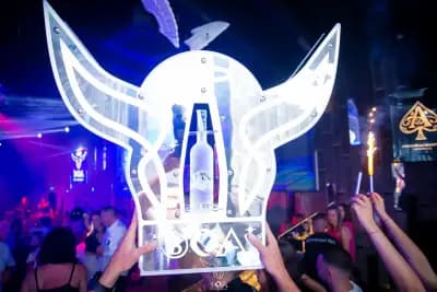 BOA - Beast or Angel Velingrad
